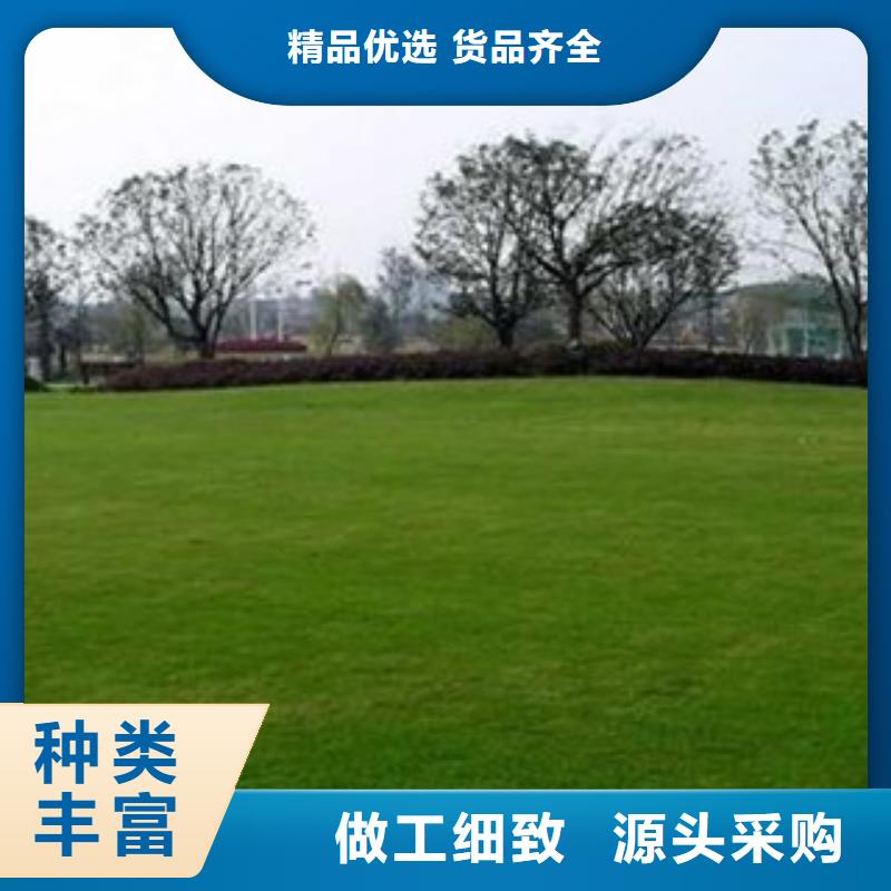 人造草坪-篮球架免费寄样同城生产商