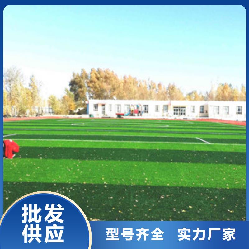 人造草坪-塑胶跑道设计制造销售服务一体N年生产经验