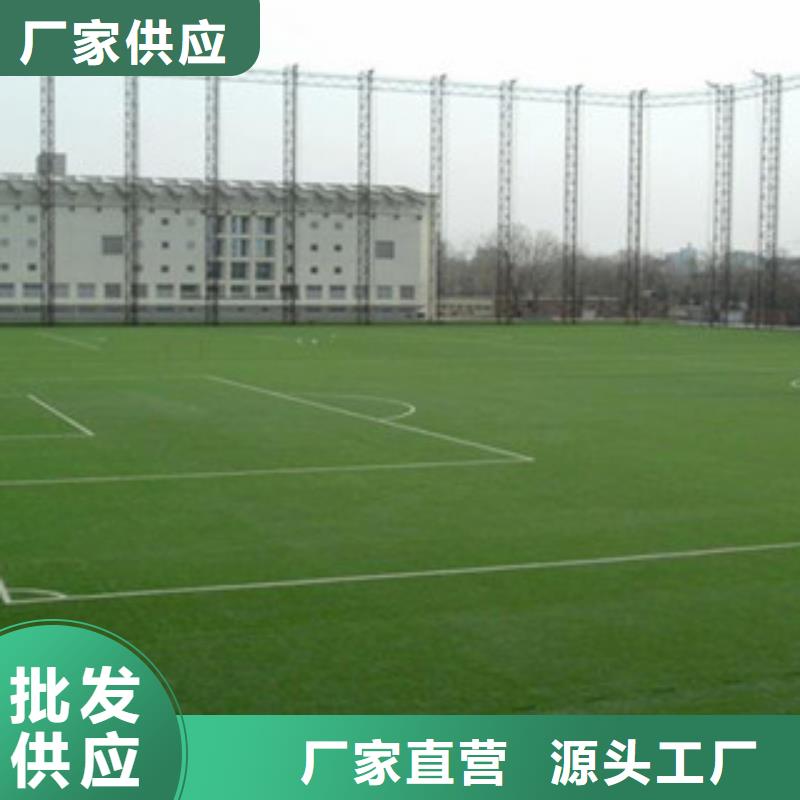 人造草坪厂家经验丰富产地厂家直销