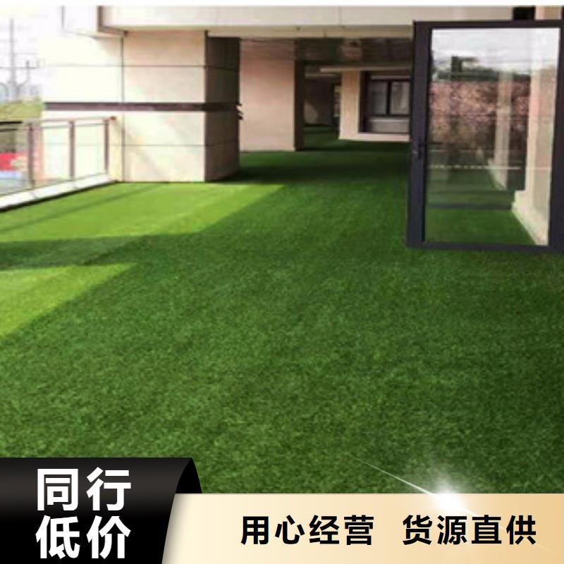 人造草坪篮球架一对一为您服务实力厂家