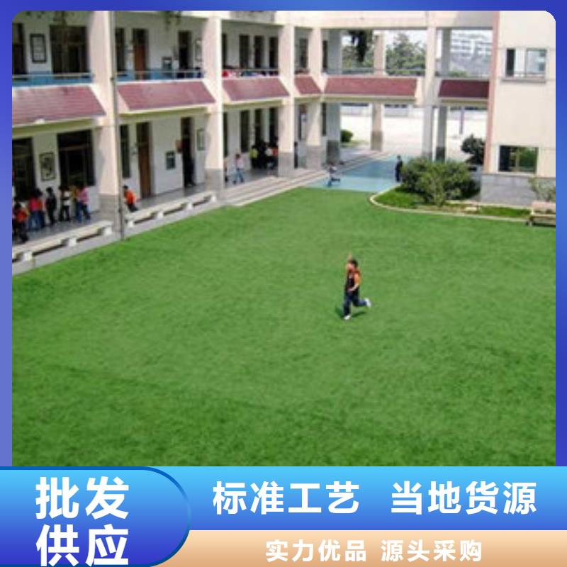 【人造草坪塑胶跑道厂家实力大】本地公司