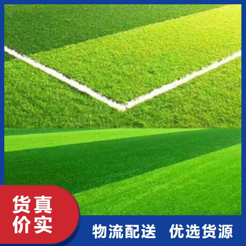 【人造草坪】塑胶跑道定制销售售后为一体当地制造商