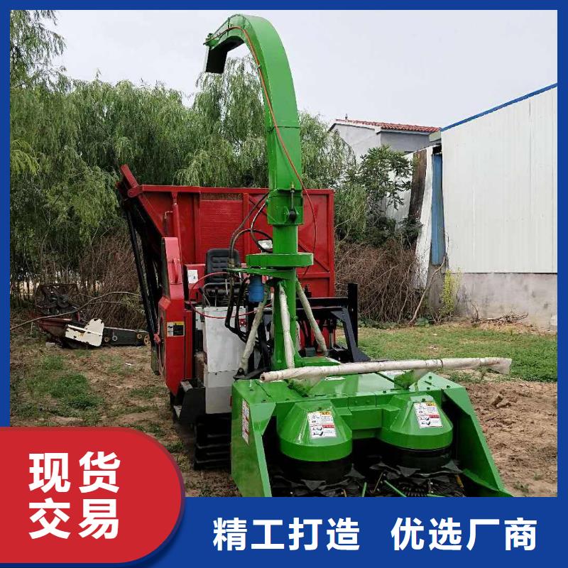 青储机【罗威纳犬】联系厂家丰富的行业经验