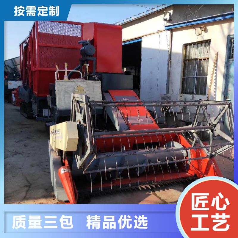 青储机杜宾犬质量不佳尽管来找我同城生产厂家