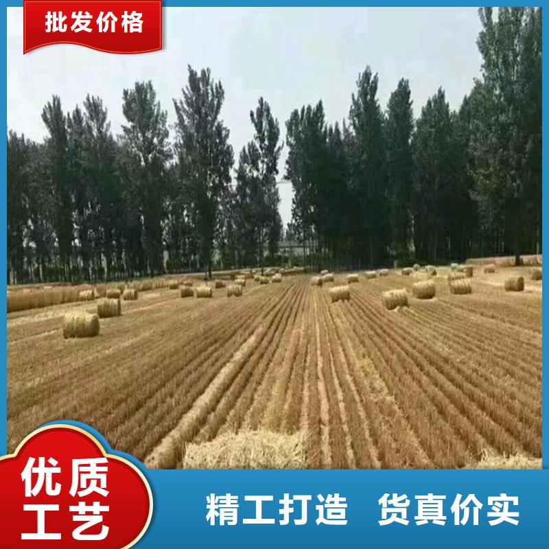 打捆机【马犬】质量牢靠产品细节参数