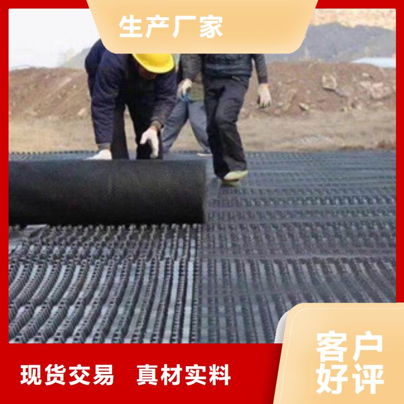 塑料排水板,【膨润土防水毯厂家】物流配送本地生产厂家