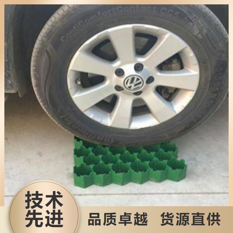 【植草格】植草格厂家多年行业经验源头厂商