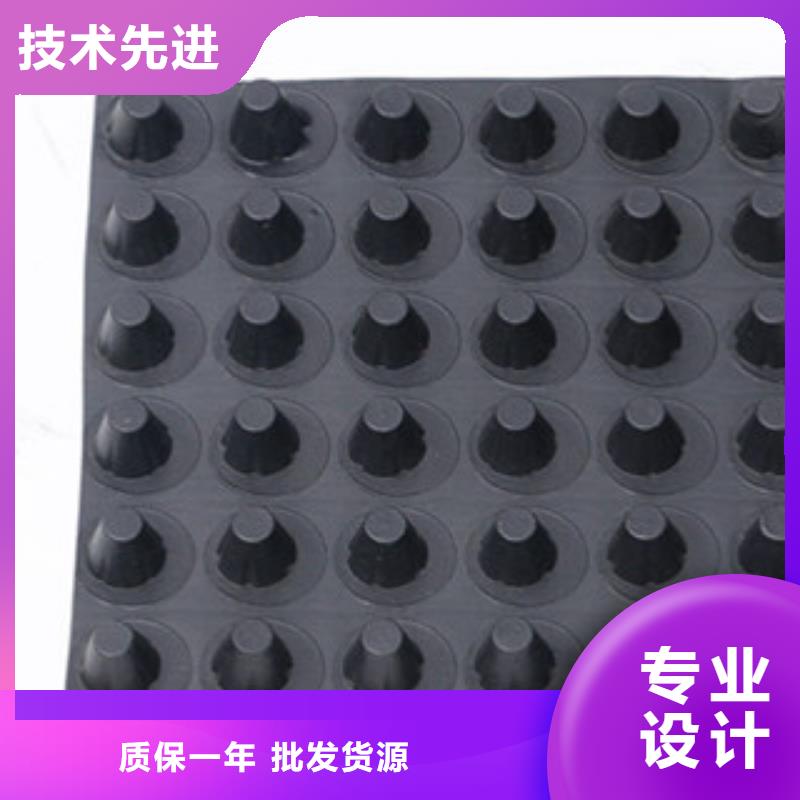 【排水板植草格厂家欢迎来电询价】当地生产厂家