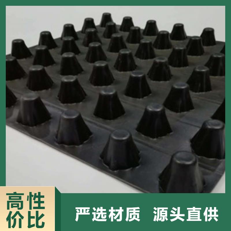 排水板排水板厂家品种全为品质而生产