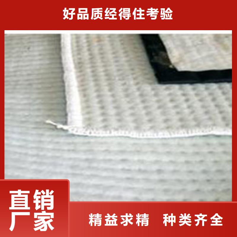 防水毯【土工膜厂家】实力派厂家同城经销商