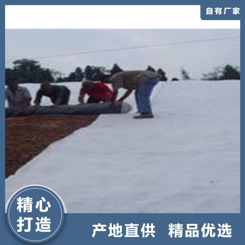 防水毯-虹吸排水槽厂家商家通过检测