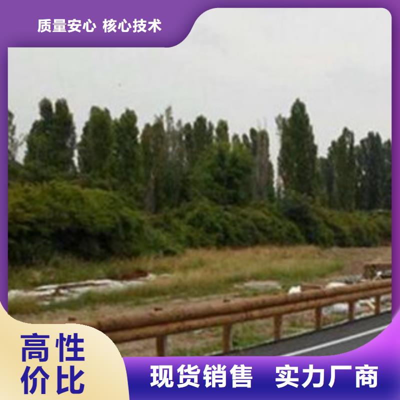 钢背木护栏-桥梁景观护栏质量无忧当地供应商