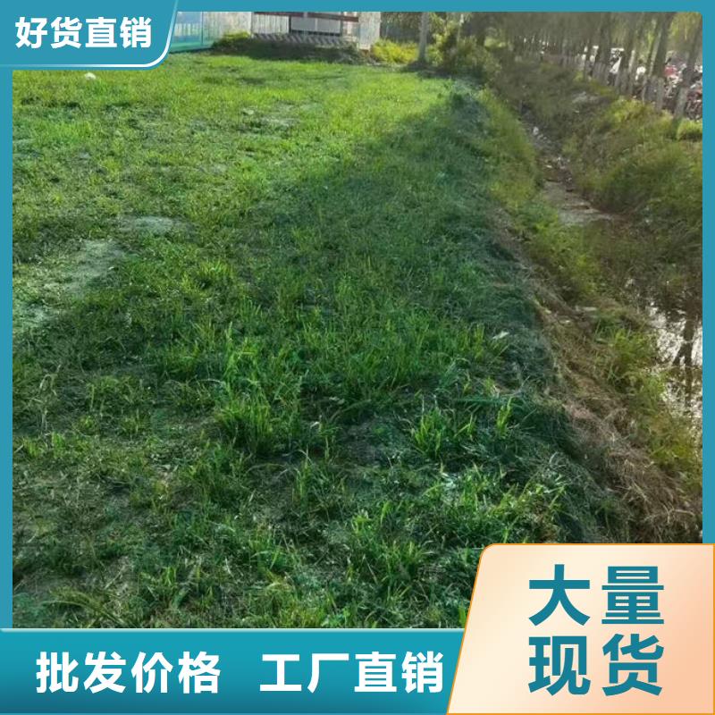 煤炭矿山抑尘剂量大从优大厂生产品质
