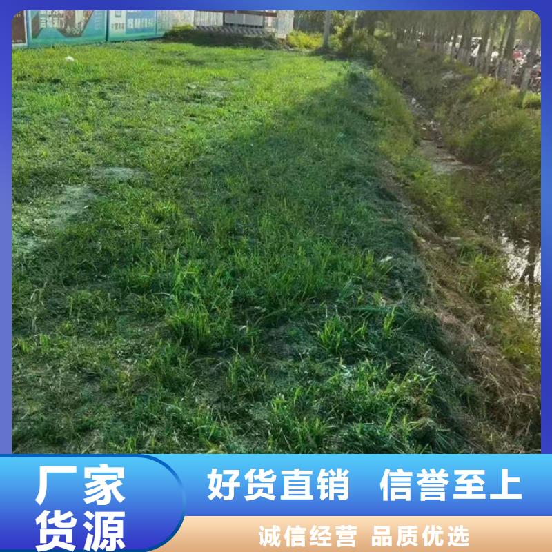 城市道路抑尘剂同城厂家