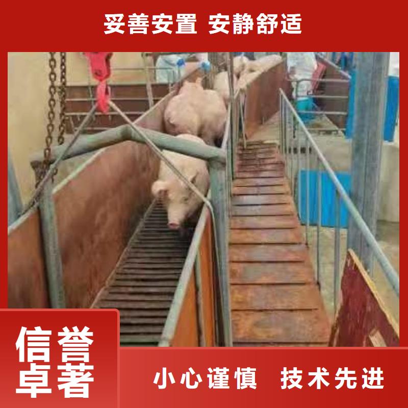 宿迁市泗阳到猪只贸易有条不紊同城生产商