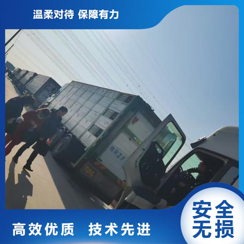 宿迁市沭阳到羊运输专用车口碑良好研发生产销售