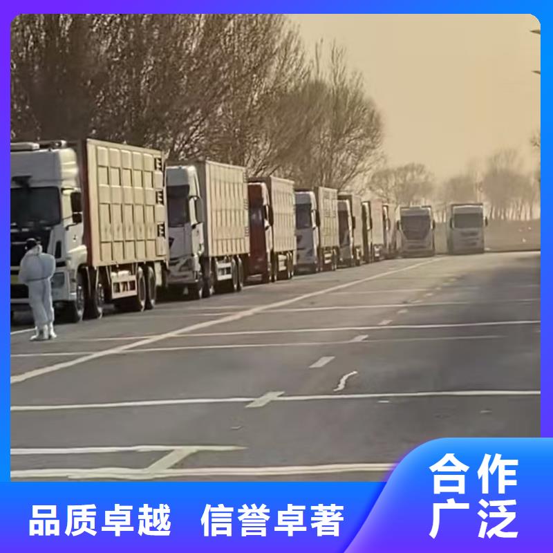 宿迁市沭阳到烟台羊运输有序顺畅
