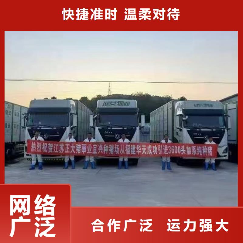 宿迁市泗洪到烟台种猪空调车运输资质齐全