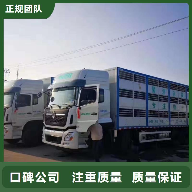 海州到生猪运输恒温车好评度高一站式采购商家