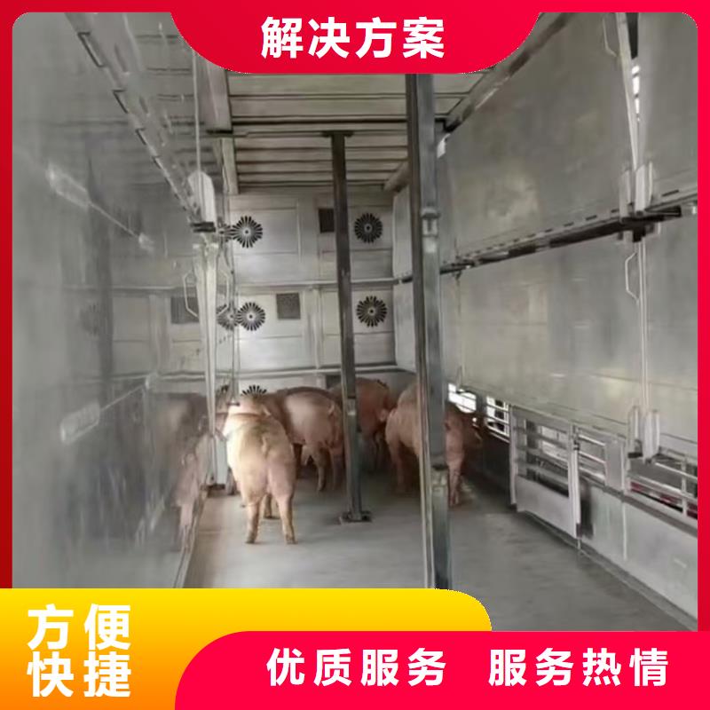 沭阳到羊运输-恒温车随叫随到同城货源