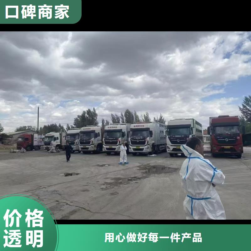 扬州到铁岭活禽物流自家车辆