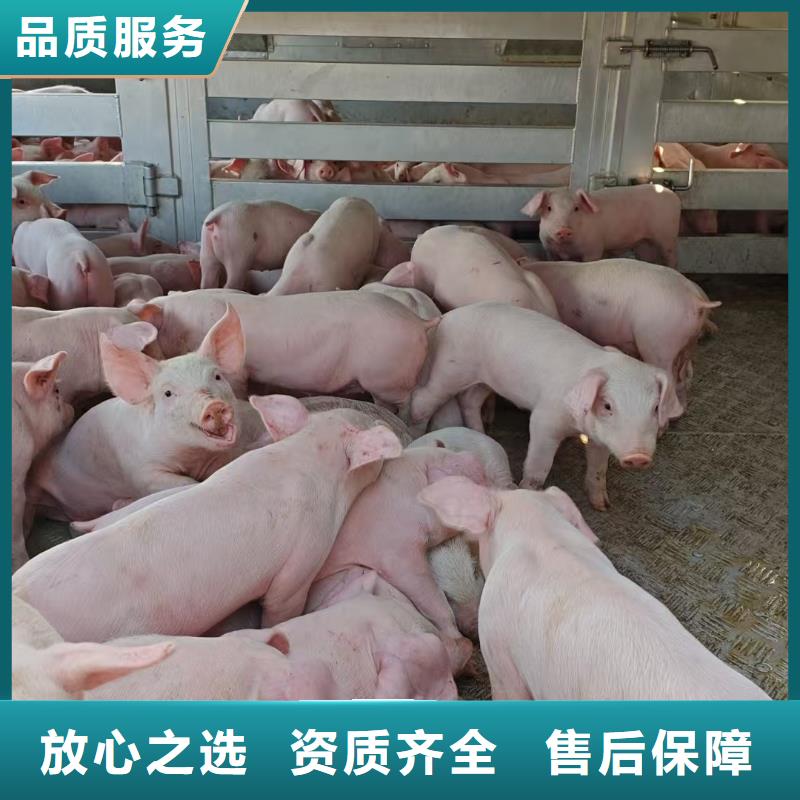 宿迁泗阳到十堰恒温车运输-恒温车遵守合同