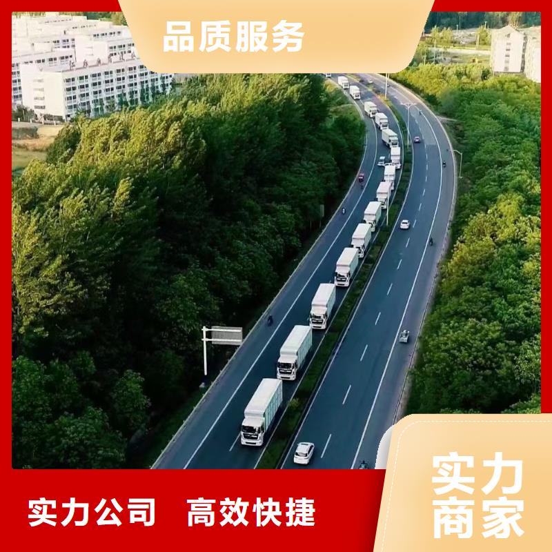 宿迁泗洪到铁岭仔猪恒温车运输资金充裕