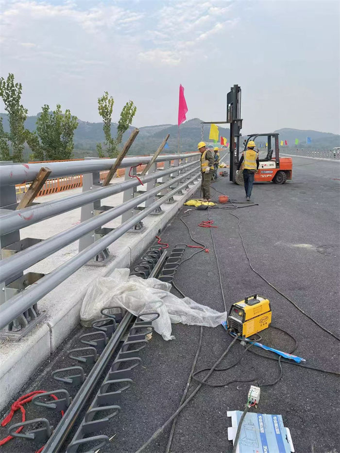 不锈钢防撞护栏非标规格定做