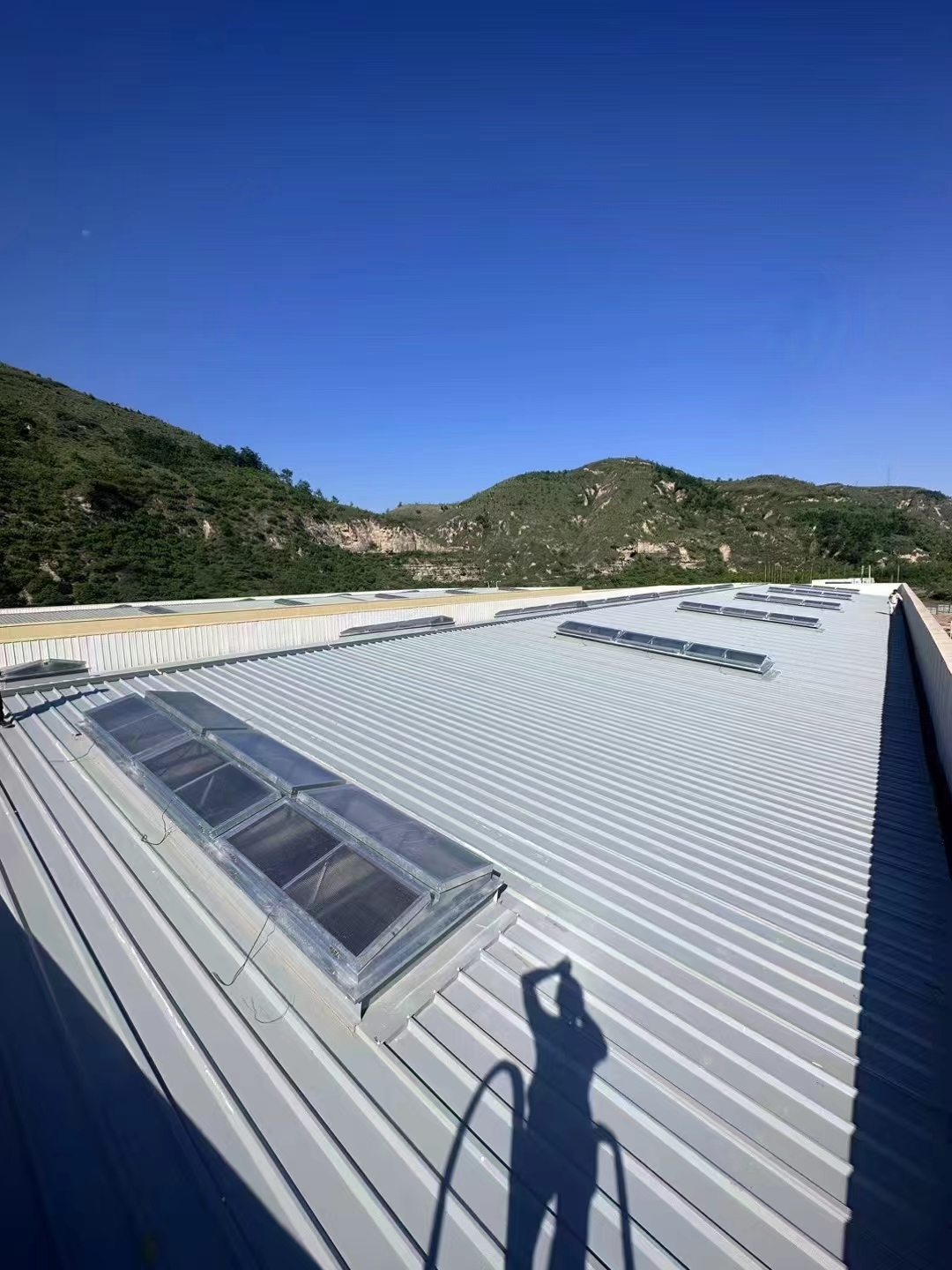 钢构厂房通风气楼批发商