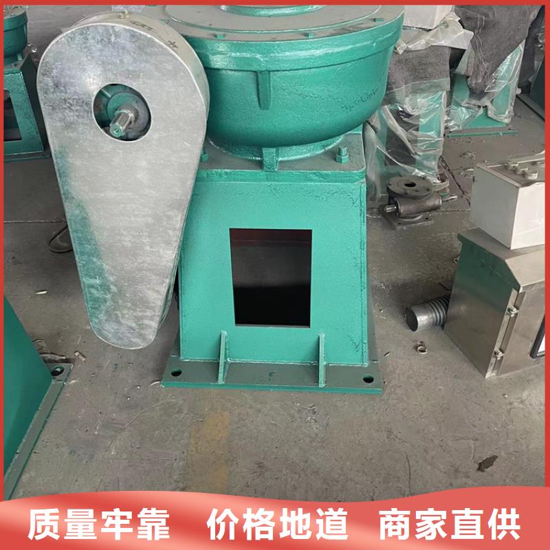 【启闭机,铸铁拍门用心做品质】当地公司