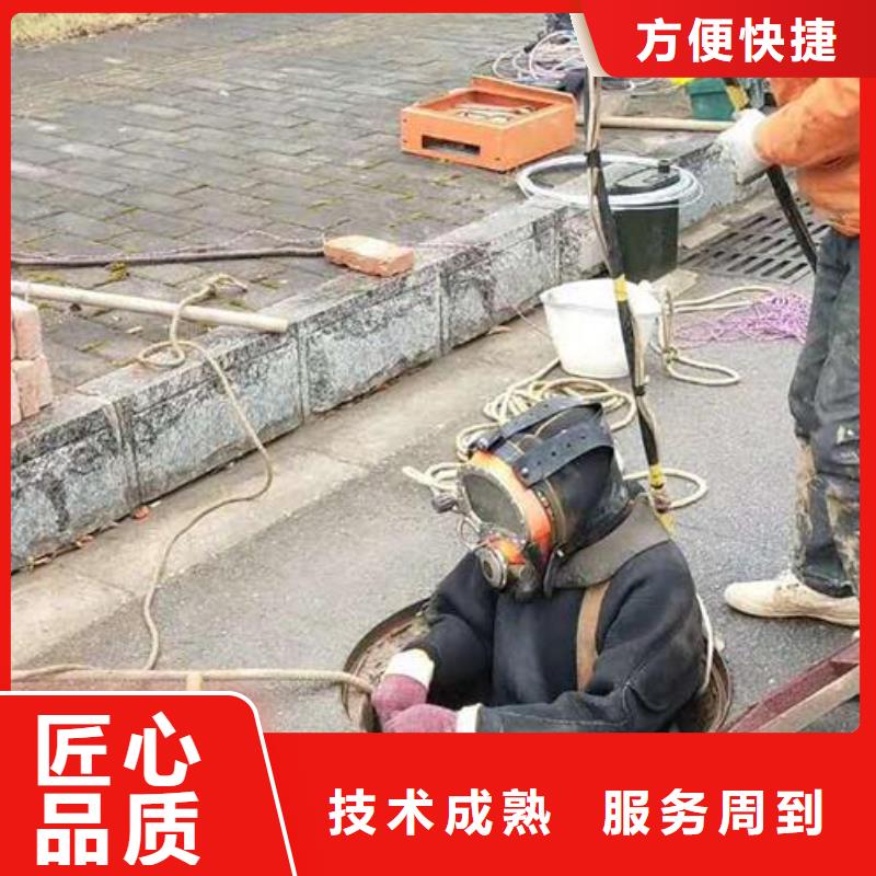 水下加固水下检修-盛龙经验丰富价格美丽