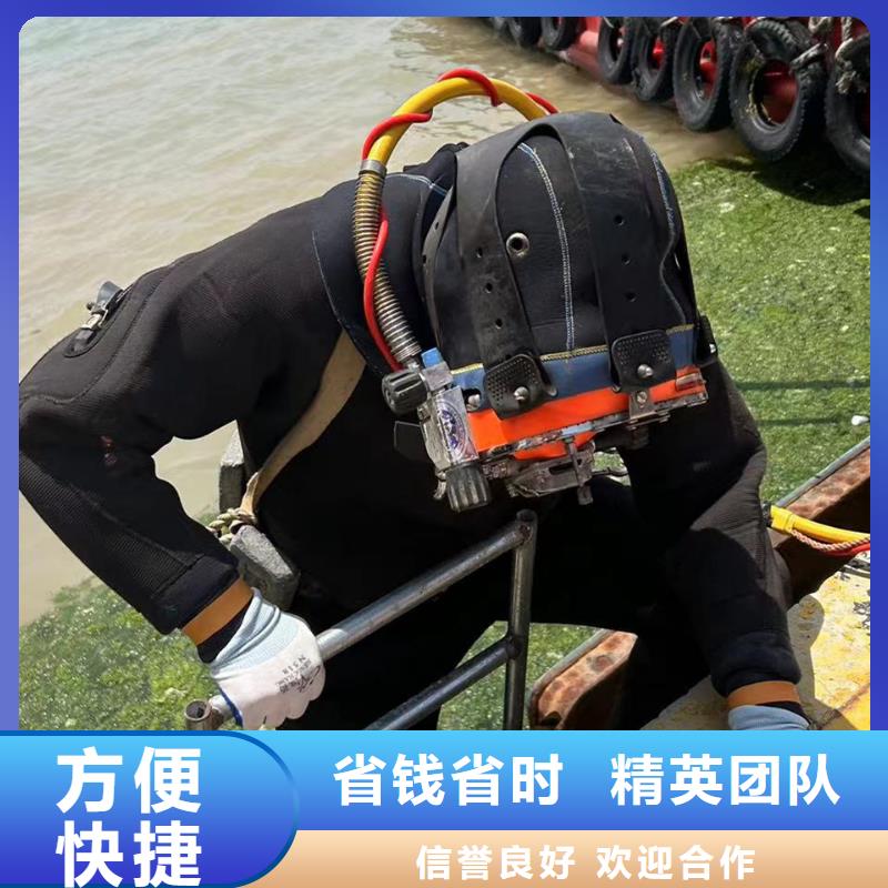 水下检测实力雄厚行业口碑好