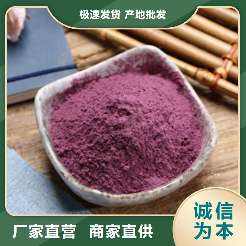 紫薯苗（济黑2号）销售当地货源