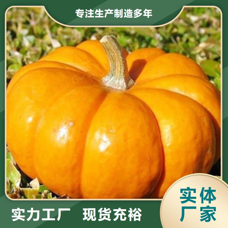 无皮南瓜粒无中间商发货迅速