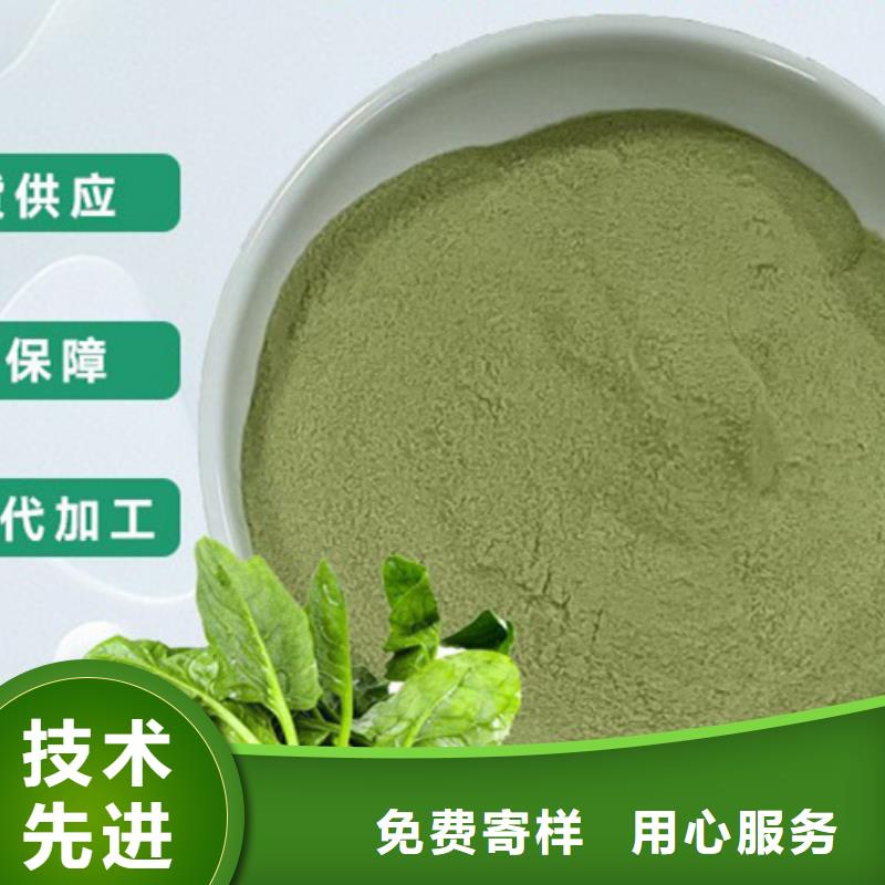 菠菜粉现货价格当地生产厂家