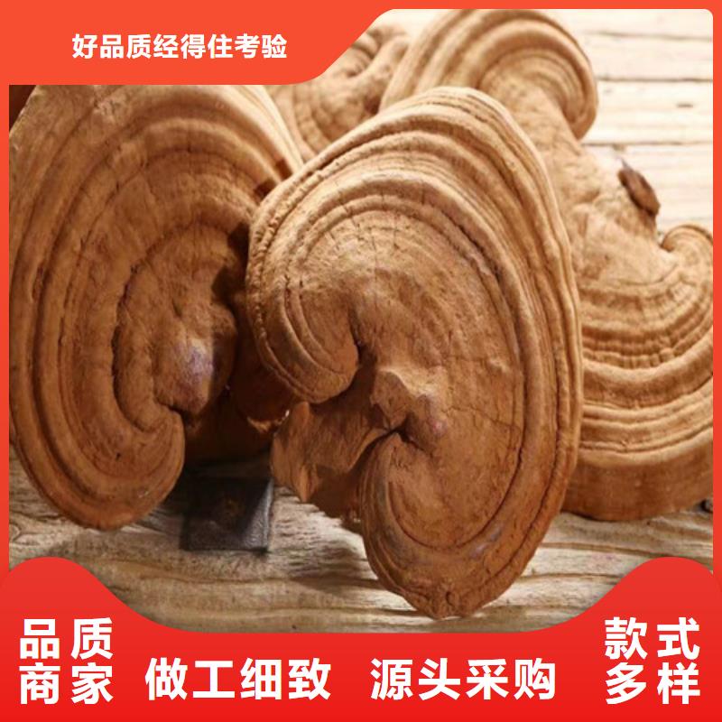 定制灵芝超细粉的生产厂家质检严格
