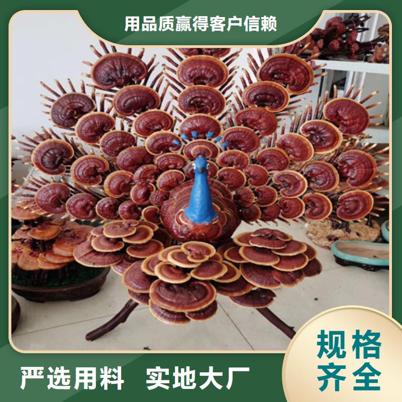 破壁灵芝粉直销厂家专业品质