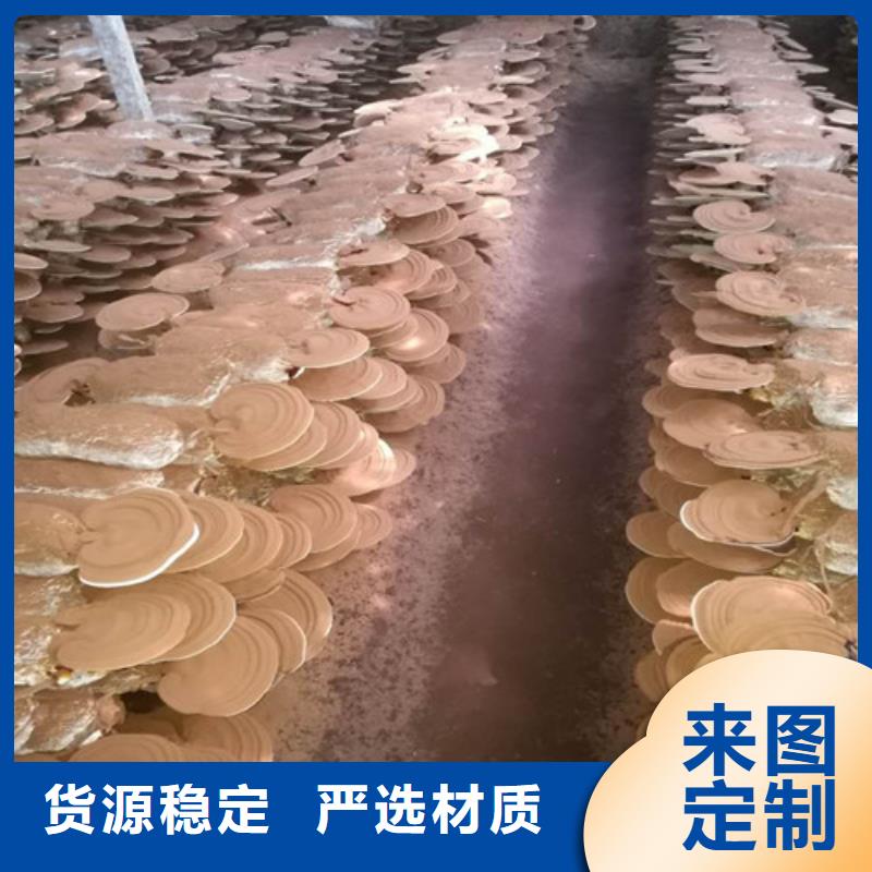 灵芝超细粉质量稳妥多种优势放心选择