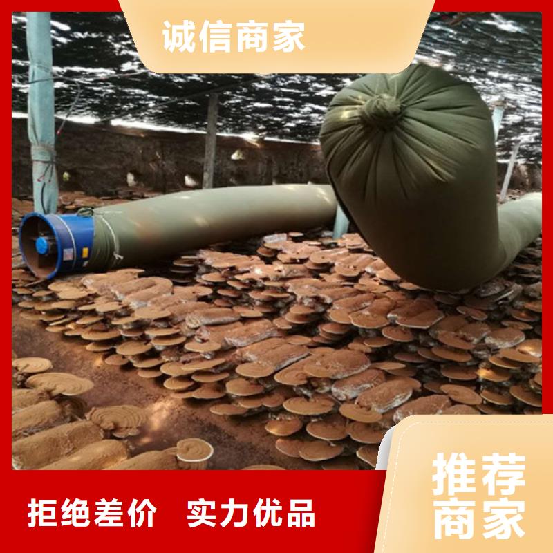 灵芝孢子粉厂家本地经销商