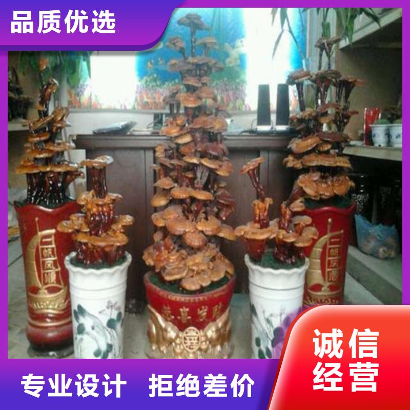 灵芝孢子粉-为您多行业适用