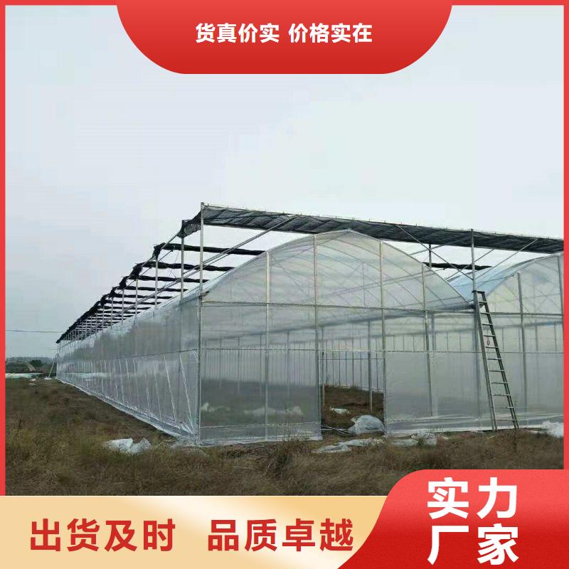 永济市秋季冬季大棚售卖品质过硬