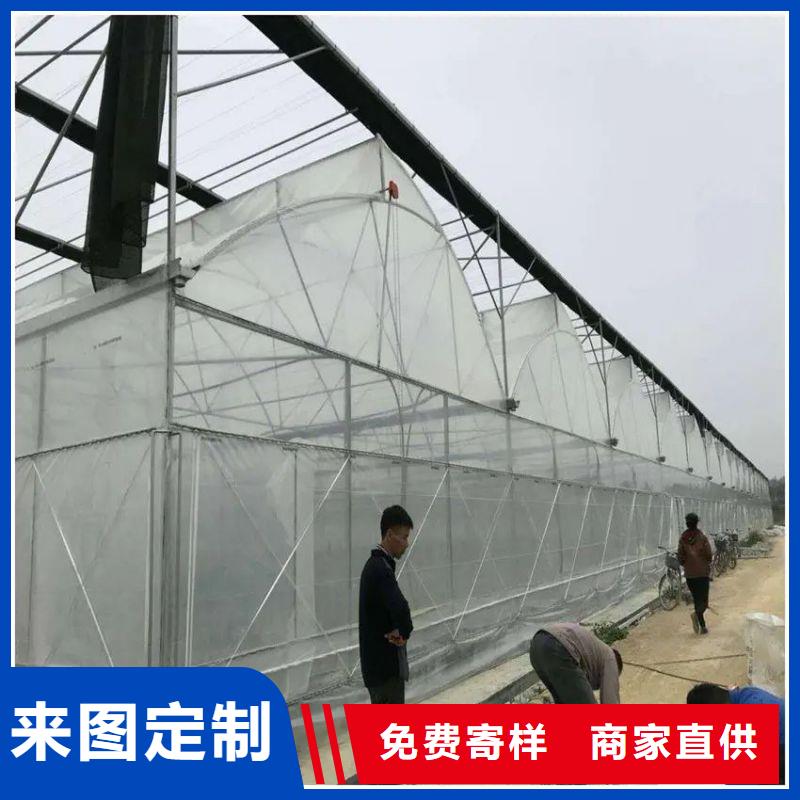 虎丘联动大棚支持定制热销产品