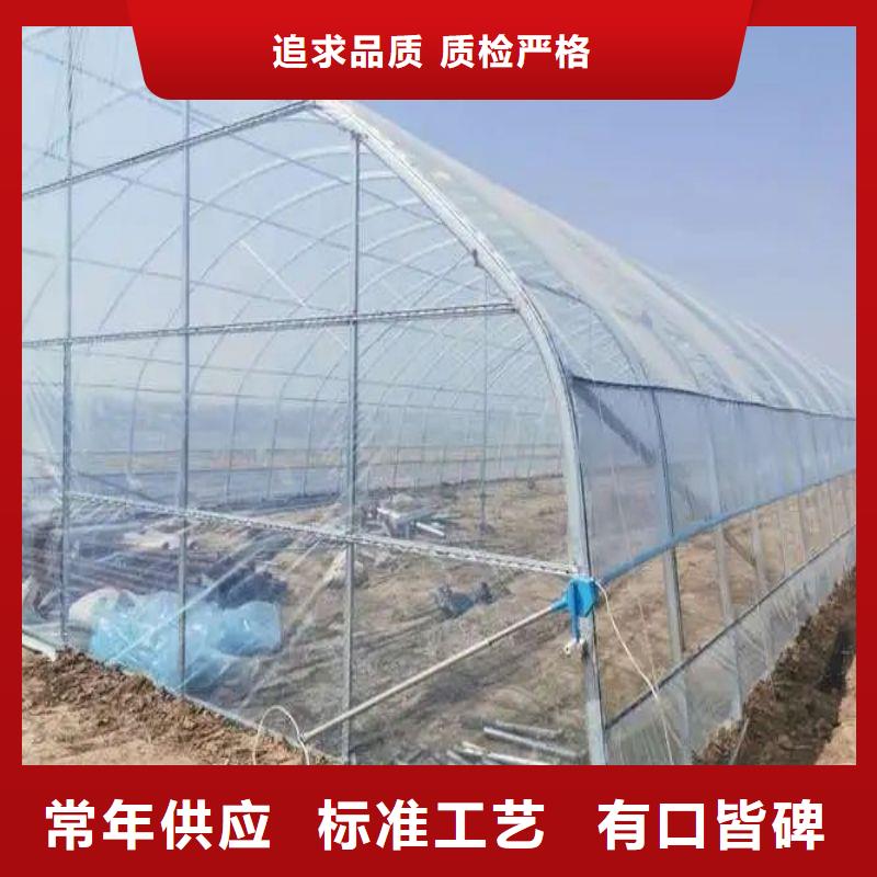 太子河区定尺连栋蔬菜大棚管售卖价格实惠