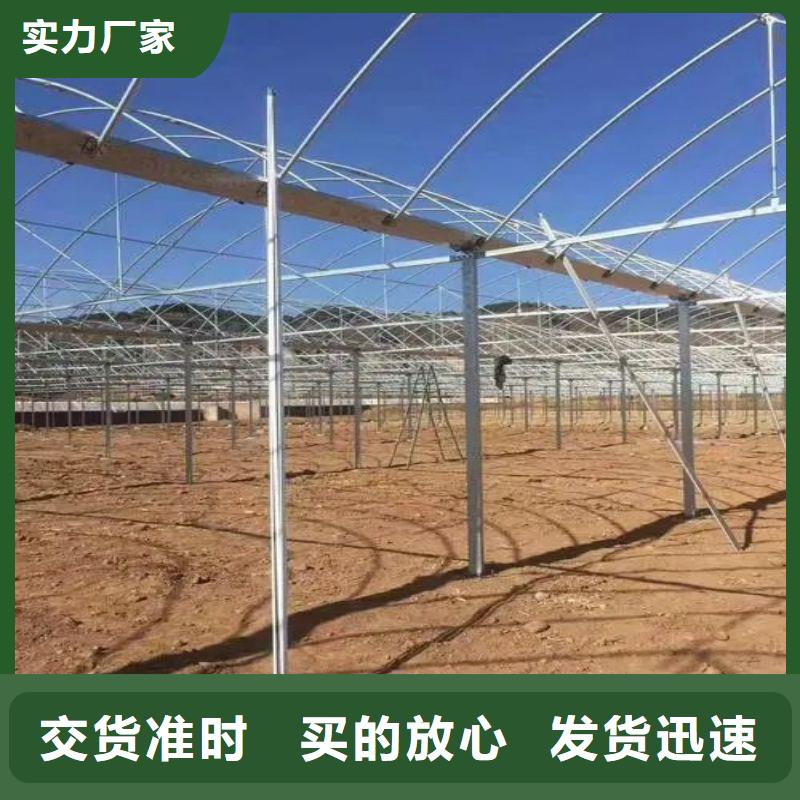 大棚管2
大棚管厂家源厂定制质量为本