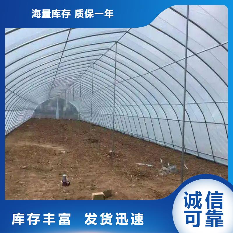 太仓温室价格低当地生产厂家