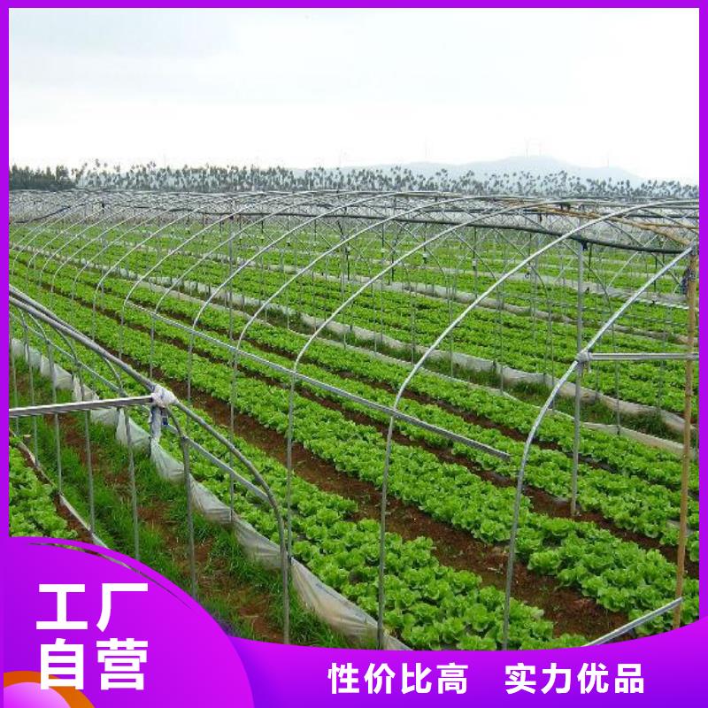 大棚管-方矩管好产品好服务当地制造商