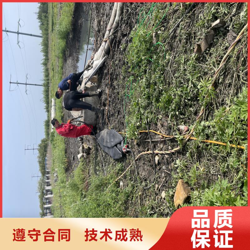 水下摄像录像公司_专业潜水单位实力雄厚