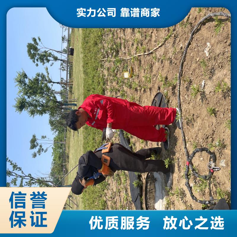 昌江县管道气囊封堵公司信息同城服务商
