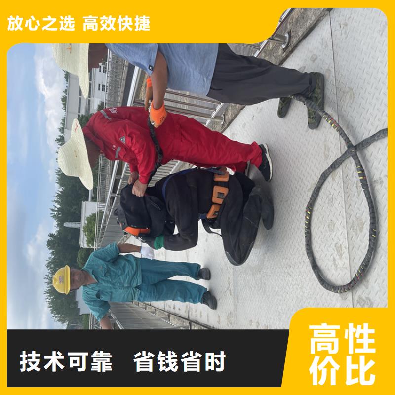 水下安装公司附近打捞队
「苏龙潜水队」高性价比