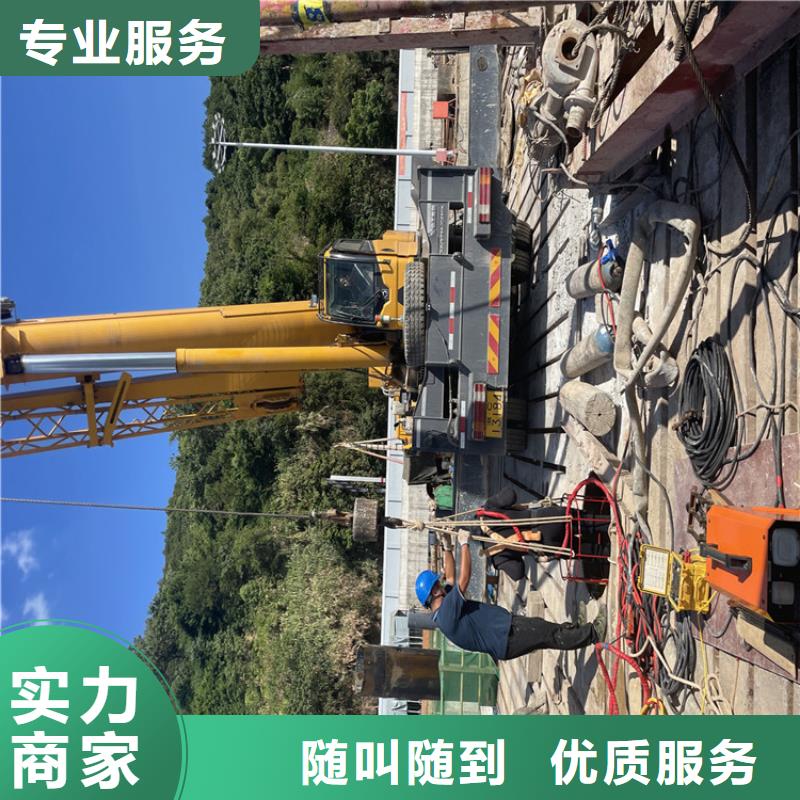 桥桩码头桩拆除公司专业服务至上